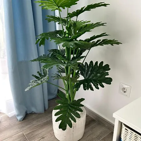 Casa Pura Vida * 塔拉哈勒赫