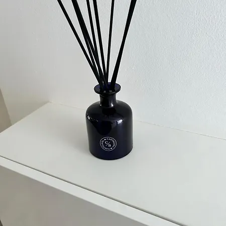 Casa Pura Vida 度假居 塔拉哈勒赫