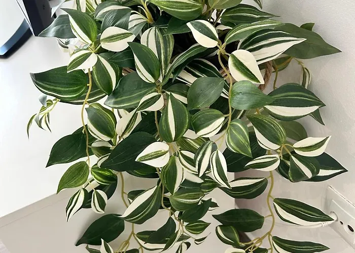 Casa Pura Vida 펜션 타라할레호