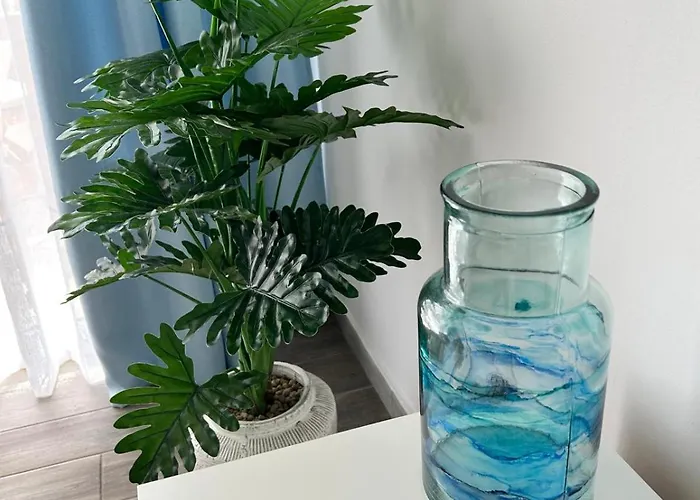 펜션 Casa Pura Vida 타라할레호