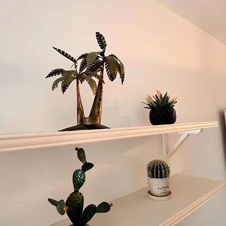 Casa Pura Vida Feriehus *
