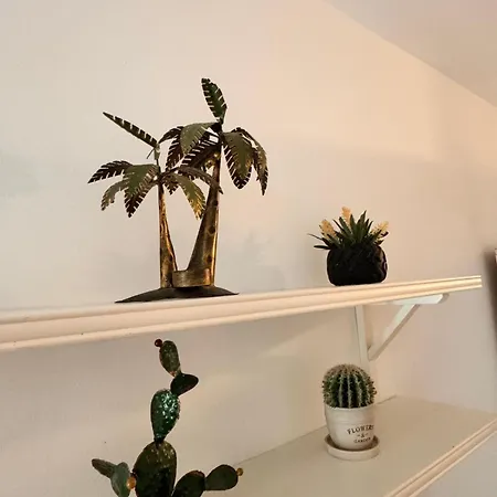 Casa Pura Vida Holiday home *